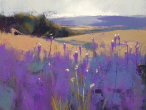 Campo de lavanda con colinas lejanas