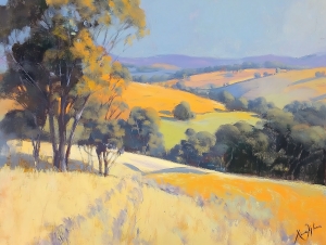 Rolling Fields Under Summer Light