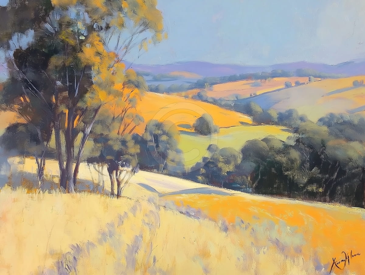 Champs vallonnés sous la lumière estivale