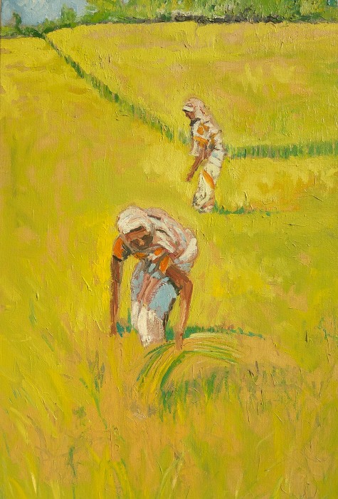 Rice Harvest Painting