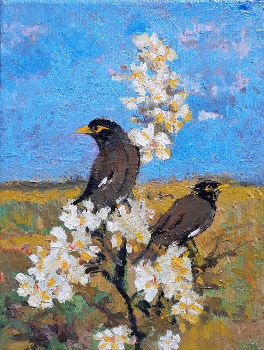 Indian Myna Painting