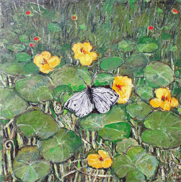 White Butterfly On Nasturtiums-2 Painting