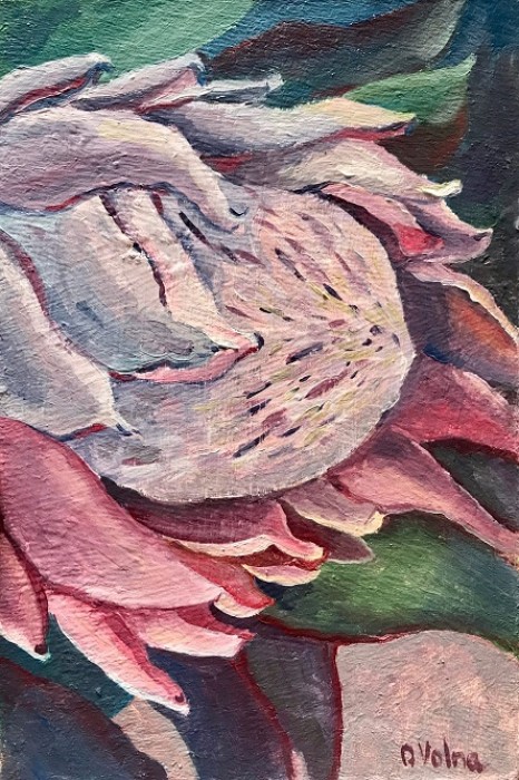 Protea Painting