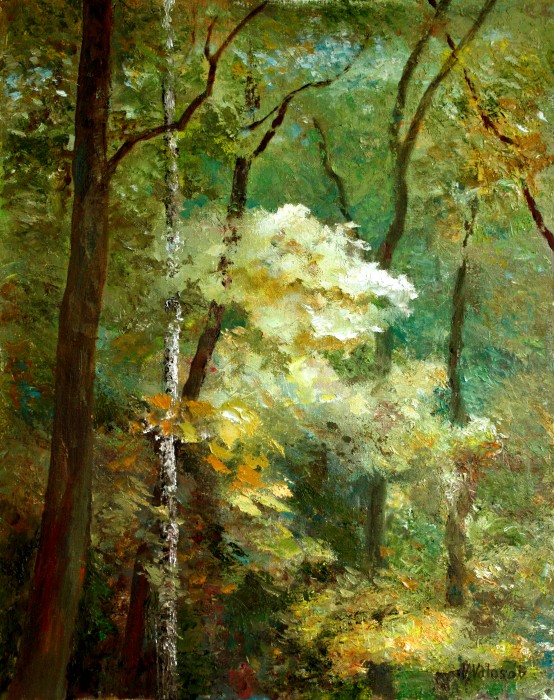 Forest Etude Painting