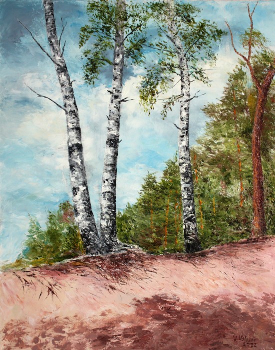 Birches On A Slope Painting